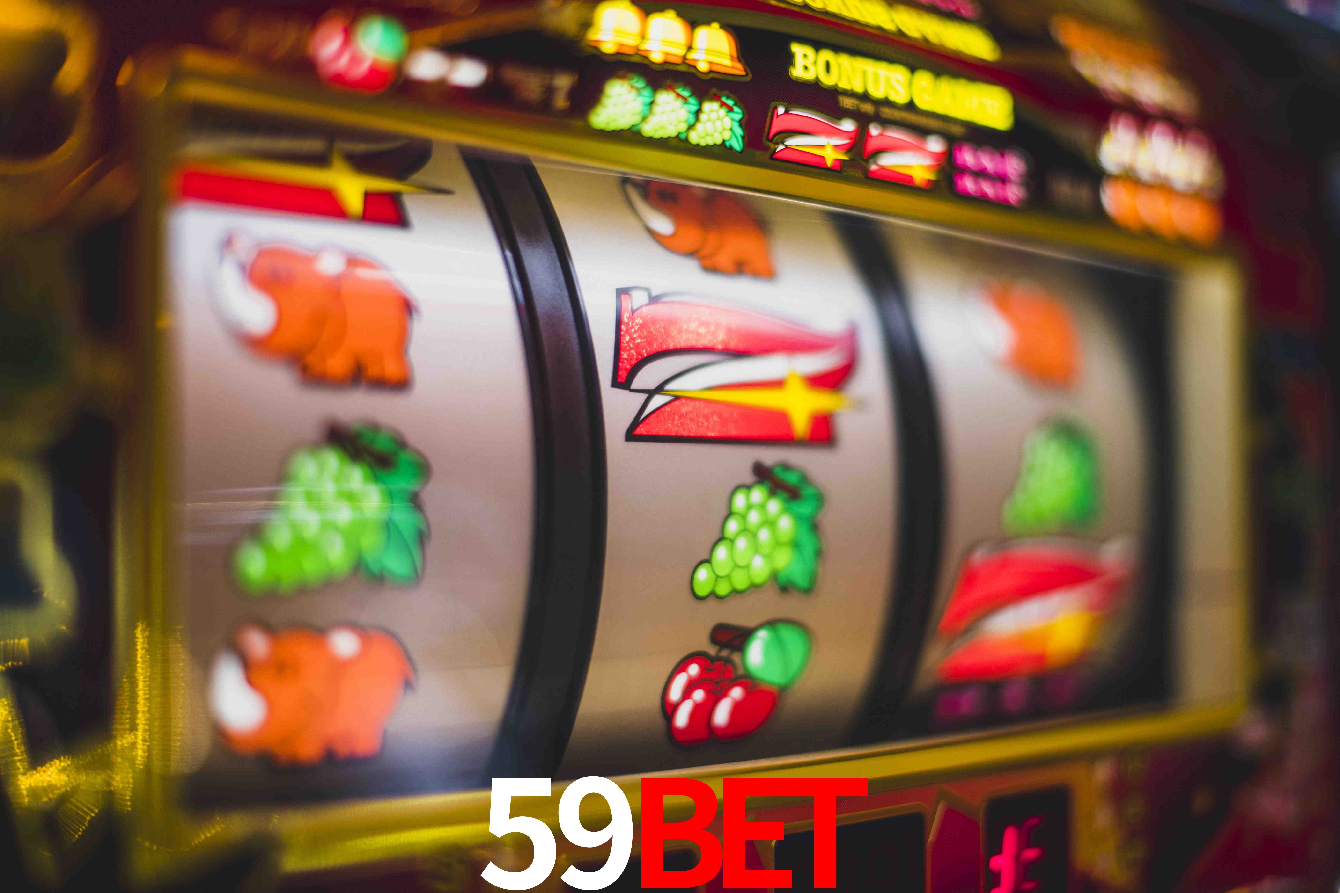 Sports Statistics 59bet
